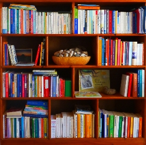 Book read shelf profession Photo