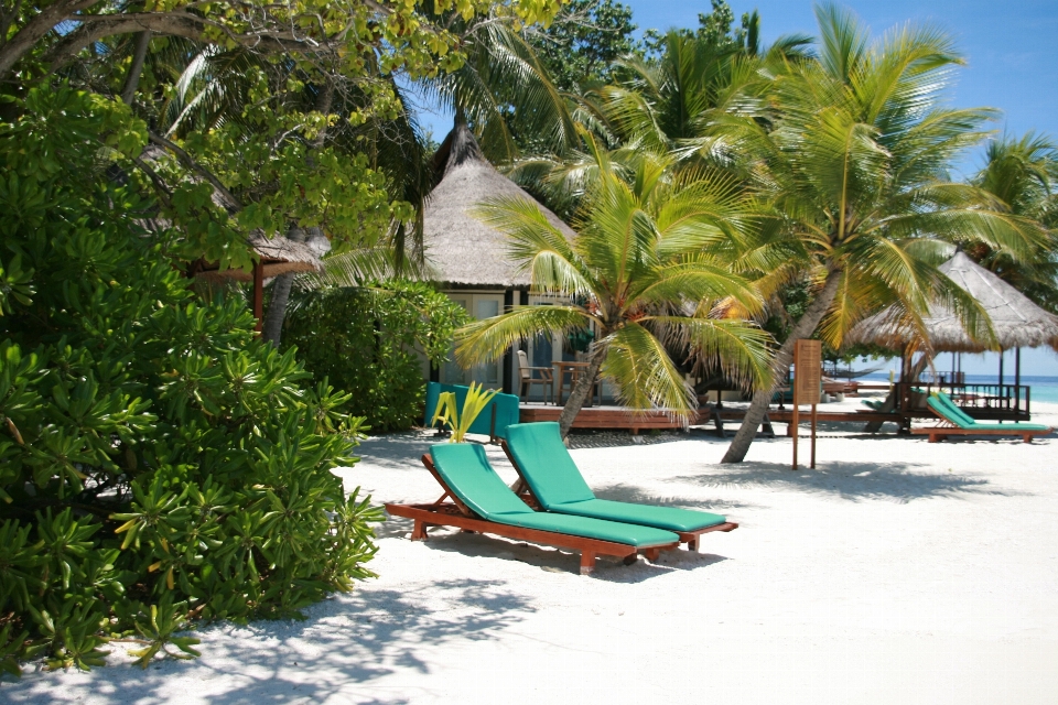 Beach summer vacation swimming pool