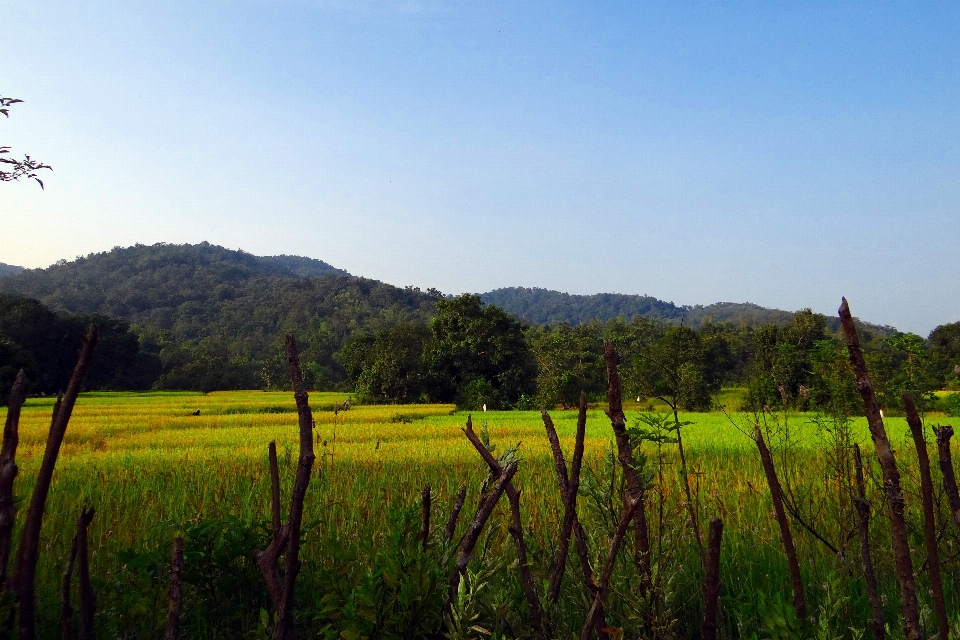 Landscape mountain sky field