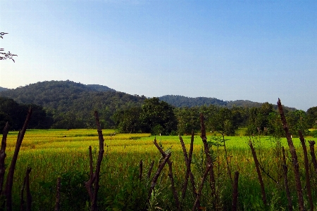 Landscape mountain sky field Photo