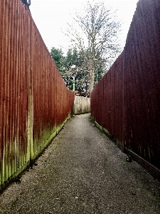 Tree path light fence Photo