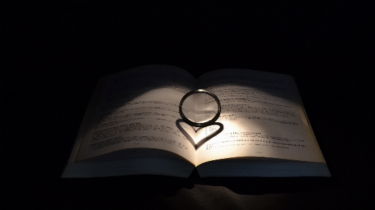 Book wing light ring Photo