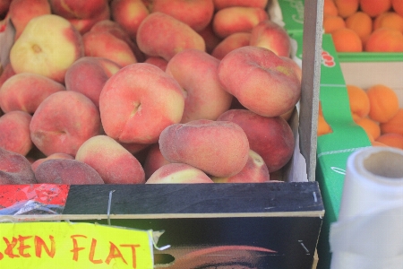 Foto Apple tanaman buah makanan