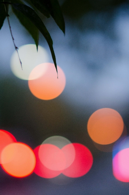 Licht bokeh
 verwischen nacht