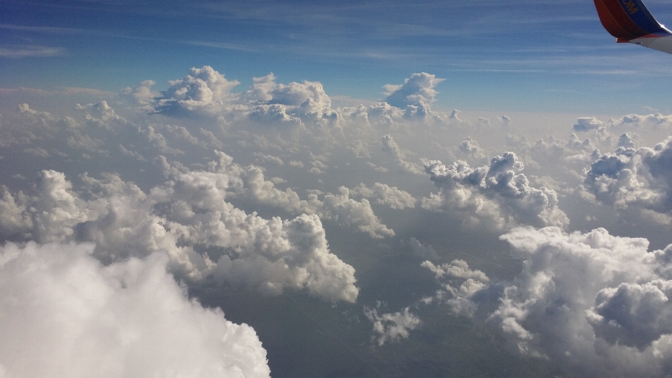 地平線 羽 クラウド 空