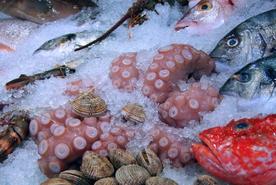 Nourriture la biologie fruit de mer marché