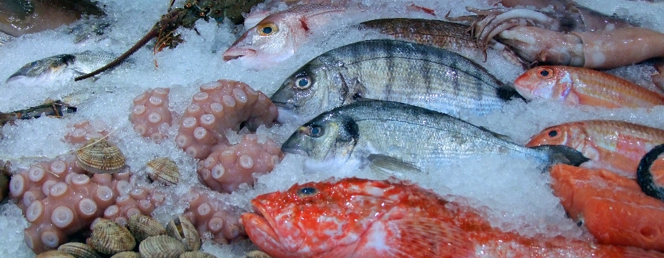 Nourriture la biologie fruit de mer marché