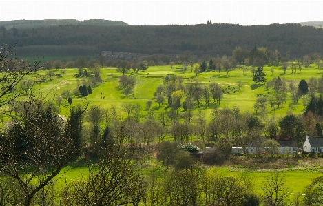 Zdjęcie Krajobraz natura pole łąka
