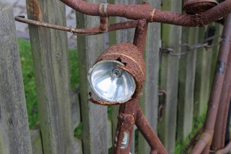 Branch bird wood wheel Photo