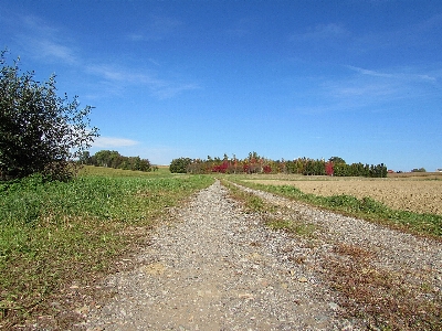 Landscape nature grass road Photo