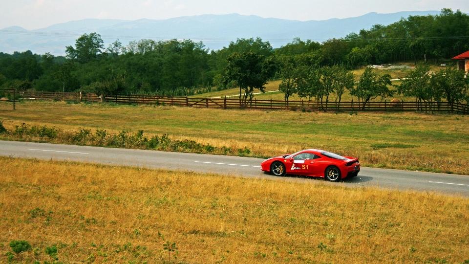 Paysage route voiture champ