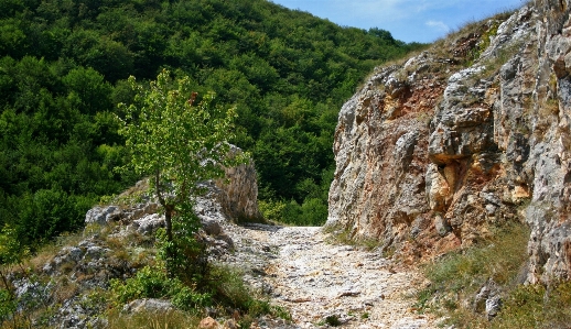 Foto Lanskap alam jalur rock