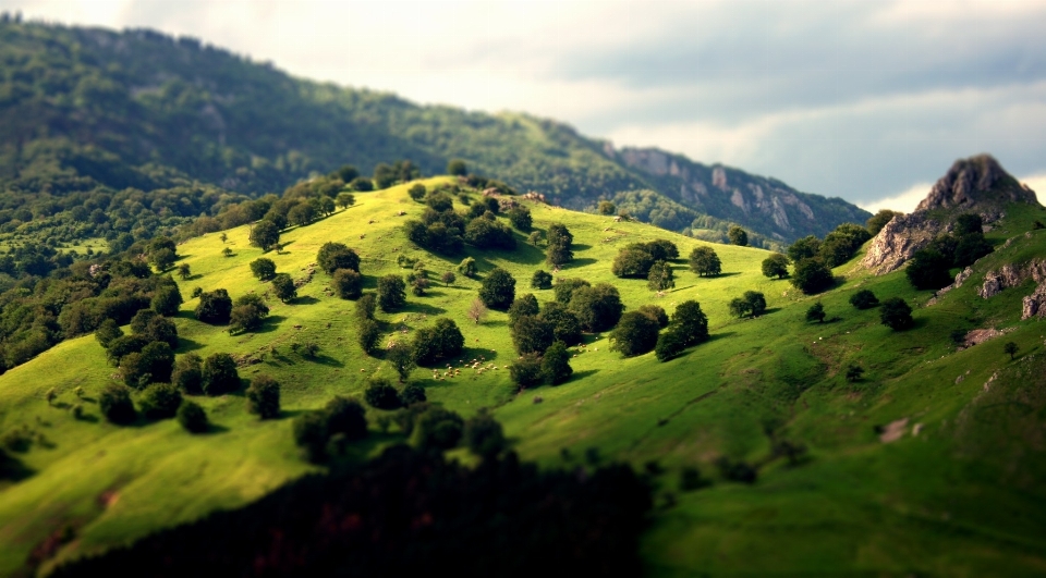 Paysage nature montagne la photographie