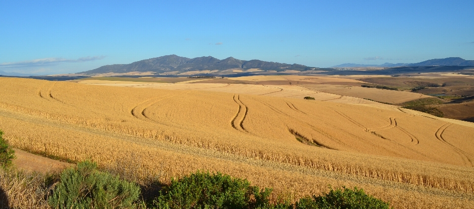 Paisagem natureza campo fazenda