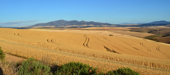 Landscape nature field farm Photo