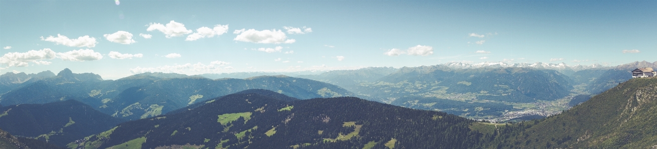 Landscape tree horizon mountain Photo