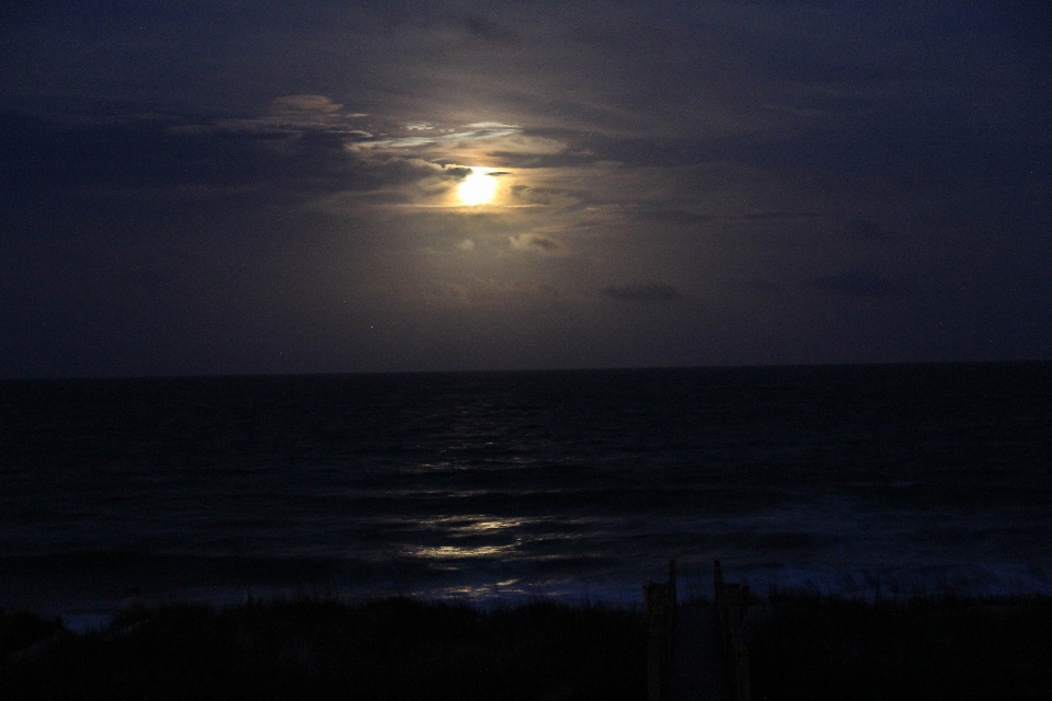 Landscape sea coast nature