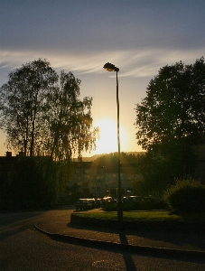 Tree light cloud sky Photo