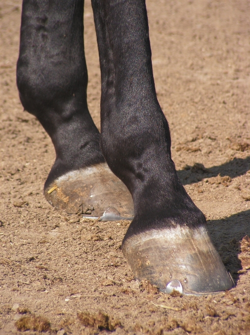 Schuh füße stiefel bein