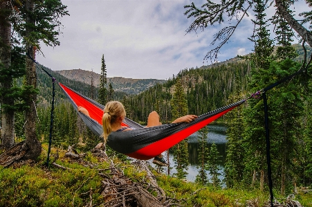 Tree forest wilderness person Photo