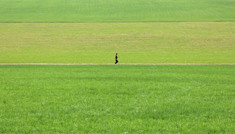 Paisaje naturaleza césped persona