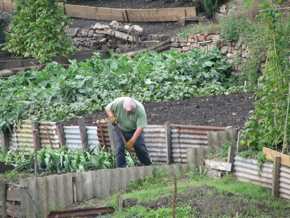 Trabajar mano naturaleza florecer