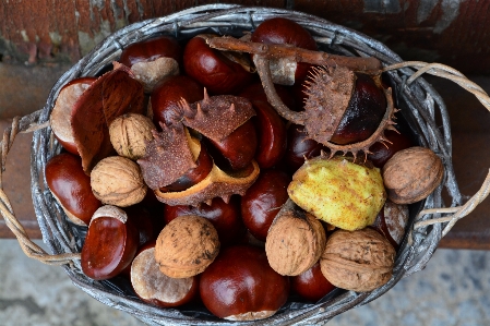 Food produce vegetable autumn Photo