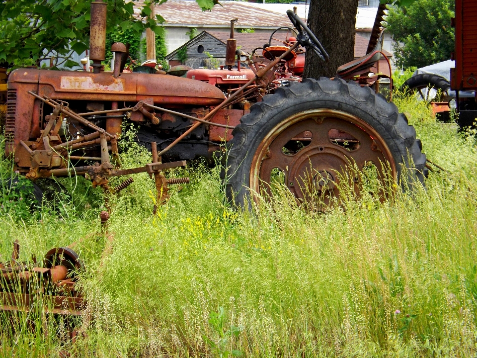 Travail nature tracteur champ