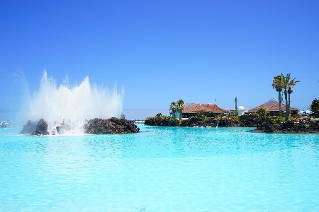 Beach sea water ocean Photo