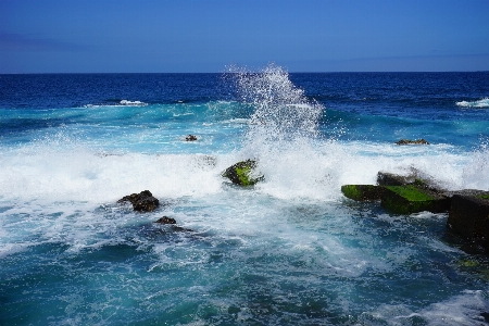 Sea coast water rock Photo