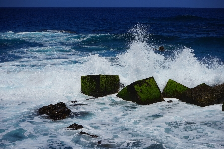 Beach sea coast water Photo