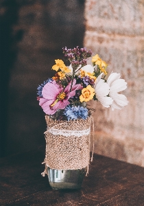 植物 花 花弁 春 写真