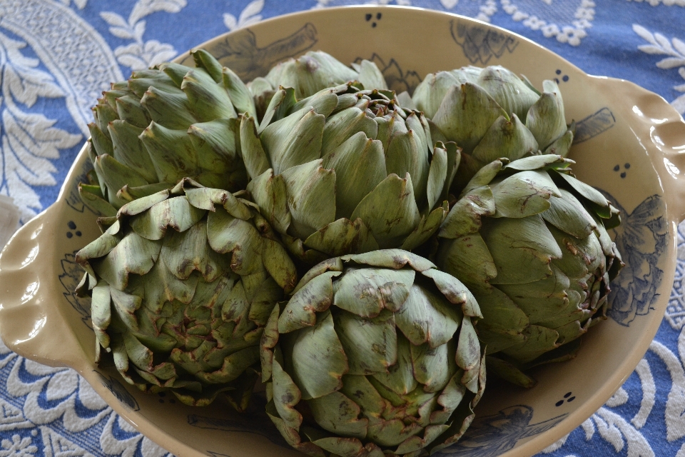 Planta flor alimento producir