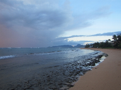 Beach sea coast water Photo