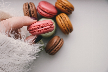 Hand sweet food produce Photo