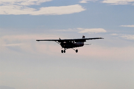 Photo Aile ciel avion véhicule