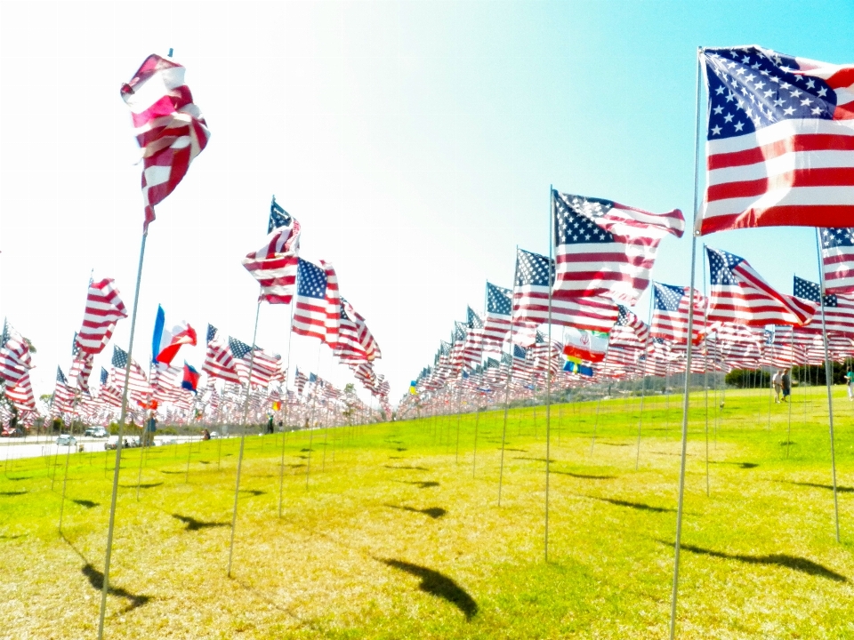 Celebrazione bandiera usa americana
