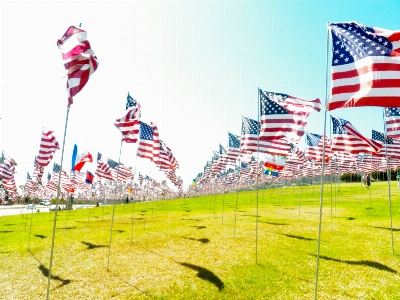 Celebration flag usa american Photo