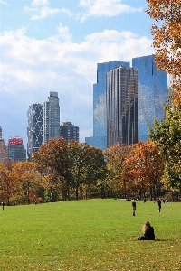 Tree grass horizon architecture Photo