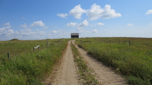 Landscape nature grass outdoor Photo