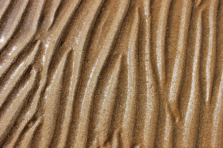 Beach sea nature sand Photo