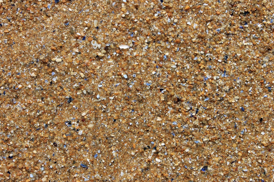 Beach sea nature sand