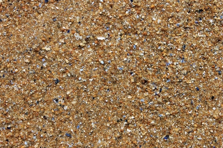 Beach sea nature sand Photo