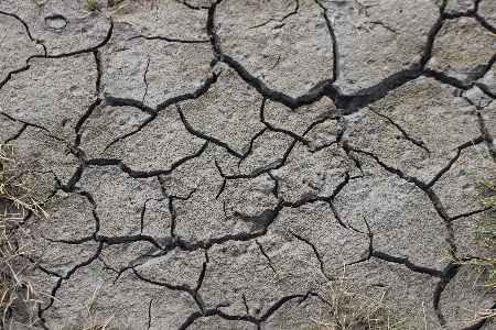 Zdjęcie Natura oddział grunt asfalt
