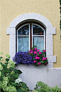 Architecture plant house flower Photo