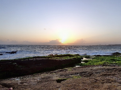 Beach landscape sea coast Photo