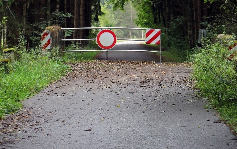 Road trail traffic sidewalk Photo