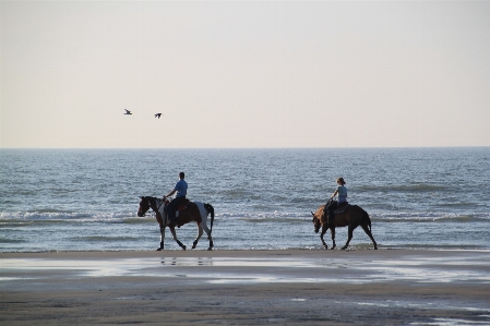 Beach landscape sea coast Photo