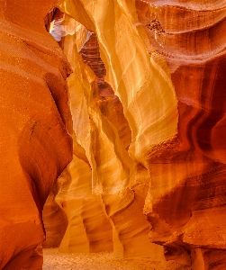 Landscape rock wood formation Photo