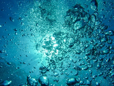 Foto água derrubar embaixo da agua biologia